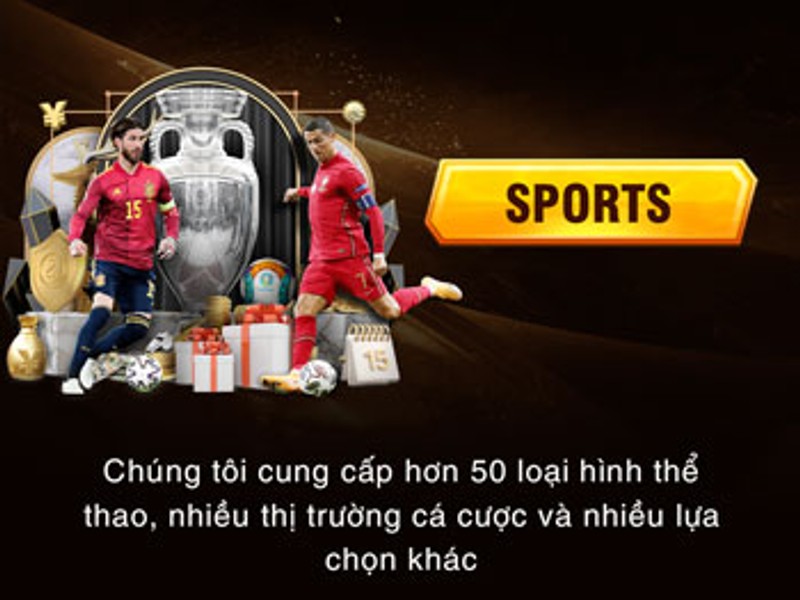 Cá cược thể thao okkinh