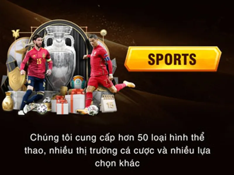 Cá cược thể thao okkinh