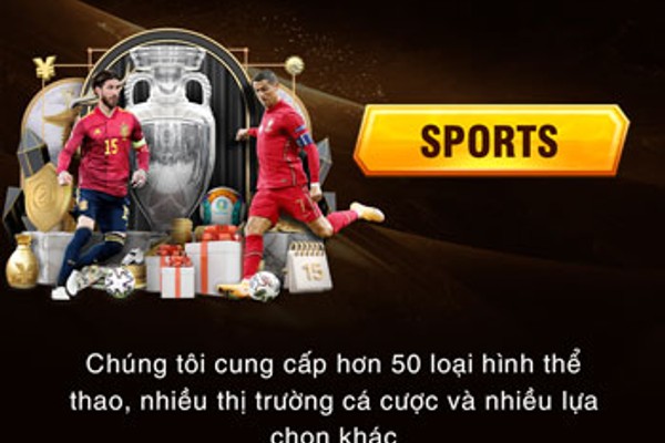 Cá cược thể thao okkinh