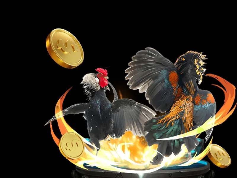 Các sự kiện và khuyến mãi theo mùa tại okkinh